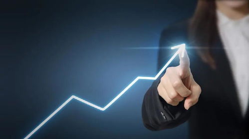 合肥網(wǎng)絡(luò)優(yōu)化公司哪家好？辰俊營銷 與互聯(lián)網(wǎng)一同進(jìn)化，驅(qū)動銷售新未來