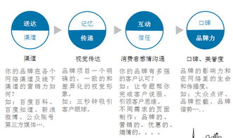 實戰(zhàn)指南 互聯(lián)網(wǎng)品牌營銷與銷售深度融合的制勝之道